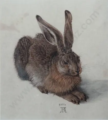DURER, Albrecht (1471-1528) - Young Hare (1502) Image 1++
