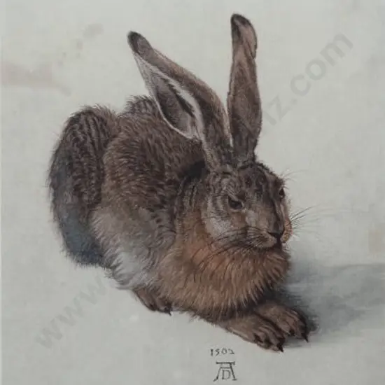 DURER, Albrecht (1471-1528) - Young Hare (1502)