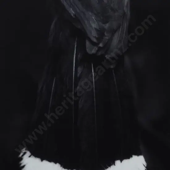 PARDINGTON, Fiona - Ake Ake Huia