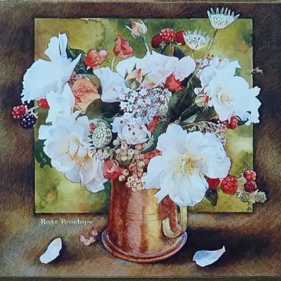 TICHBORNE, Nancy (N.Z.) - Rose 'Penelope' - Jug of Roses