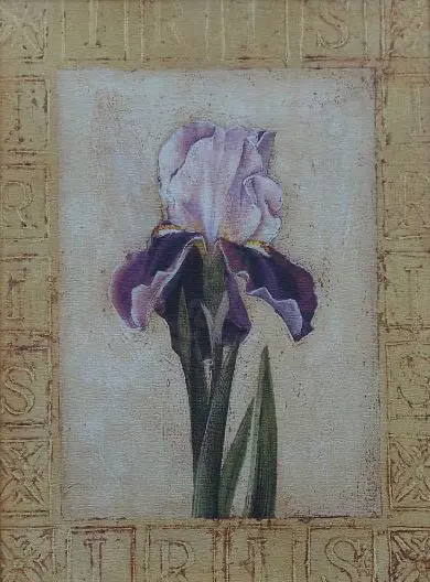 UNKNOWN Artist - Iris Image 1++
