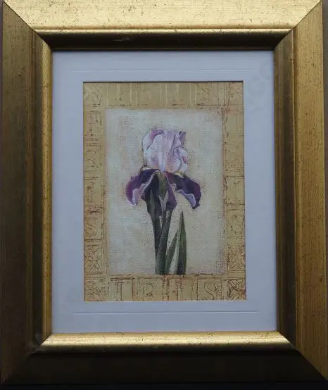 UNKNOWN Artist - Iris Image 1++