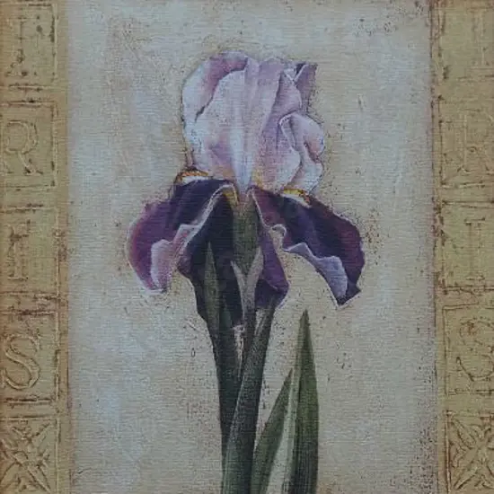 UNKNOWN Artist - Iris