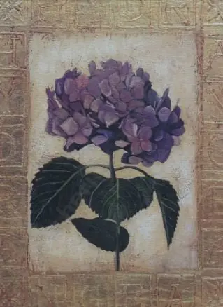 UNKNOWN Artist - Hydrangeas Image 1++