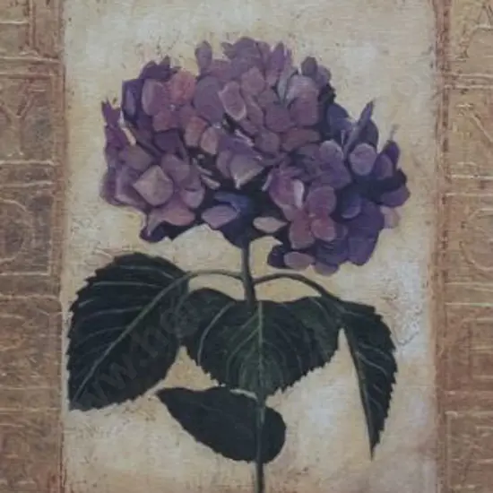 UNKNOWN Artist - Hydrangeas