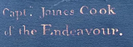 UNKNOWN Artist - Capt. James Cook of the Endeavour Image 1++