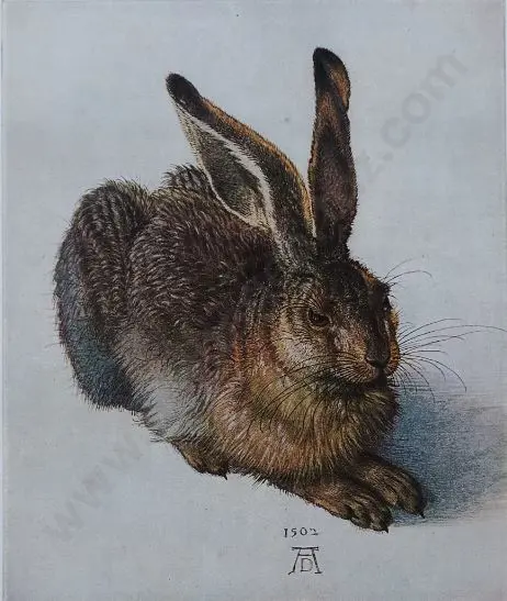 DURER, Albrecht (1471-1528) - Young Hare (1502) Image 1++