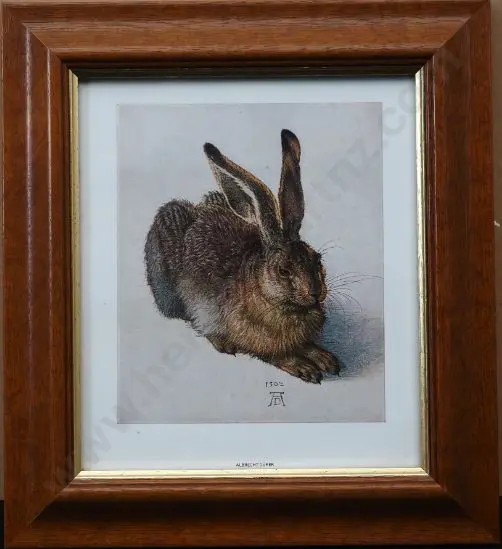 DURER, Albrecht (1471-1528) - Young Hare (1502) Image 1++