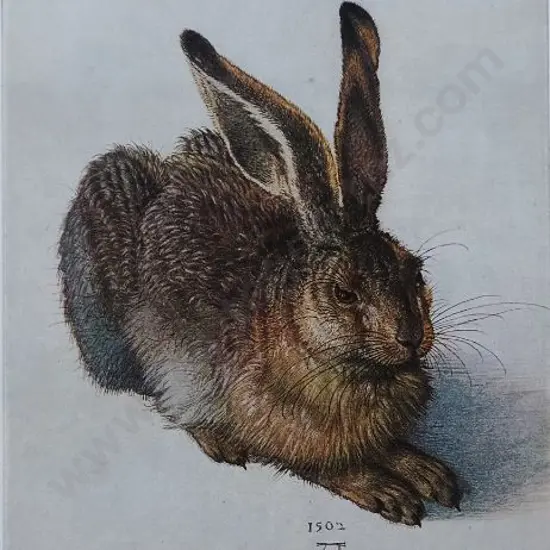 DURER, Albrecht (1471-1528) - Young Hare (1502)