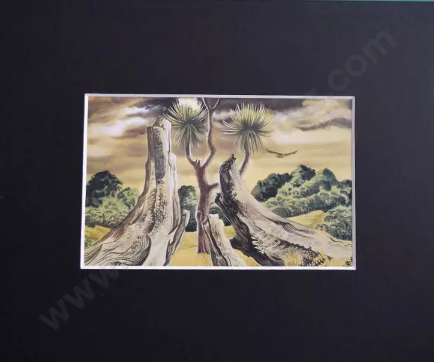 TAYLOR, E. Mervyn (1906-1964) - Kauri Stump - 1950 Image 1++