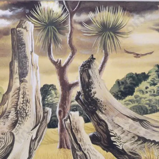 TAYLOR, E. Mervyn (1906-1964) - Kauri Stump - 1950