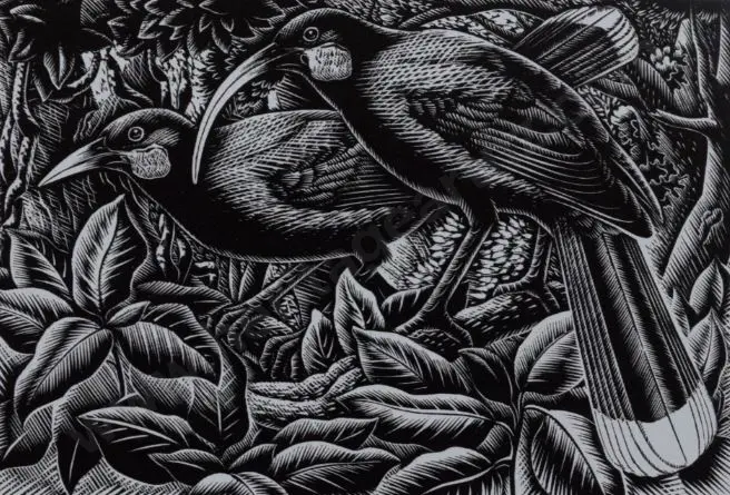 TAYLOR, E. Mervyn (1906-1964) - Huias - 1949 Image 1++