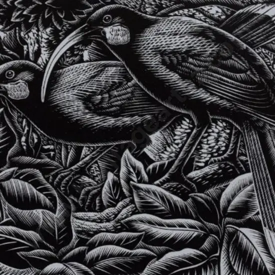 TAYLOR, E. Mervyn (1906-1964) - Huias - 1949