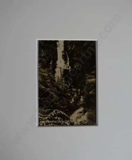 UNKNOWN Photographer - Taneatua, Stanley Falls Track Image 1++