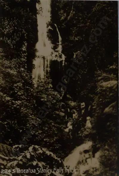 UNKNOWN Photographer - Taneatua, Stanley Falls Track Image 1++