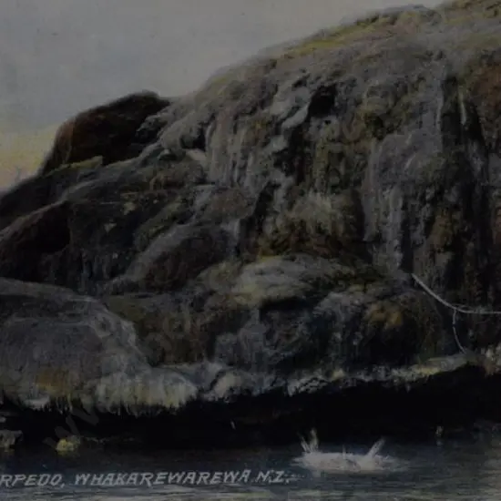 UNKNOWN Photographer - The Torpedo, Whakarewarewa