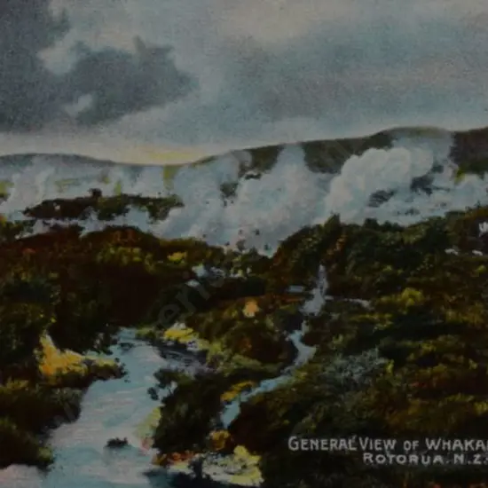 UNKNOWN Photographer - General View of Whakarewarewa - C.1900