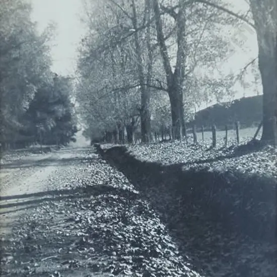 UNKNOWN Photographer (A67) - Country Road in Autumn