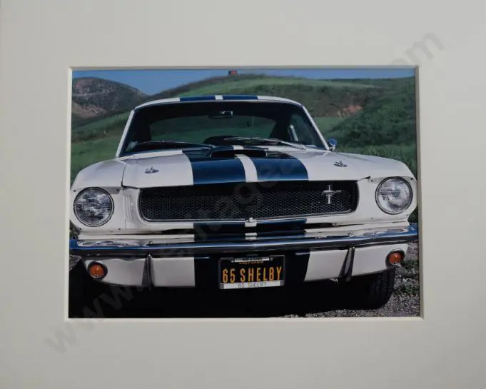 UNKNOWN Photographer - Vintage Car - Shelby Mustang GT-350 Image 1++