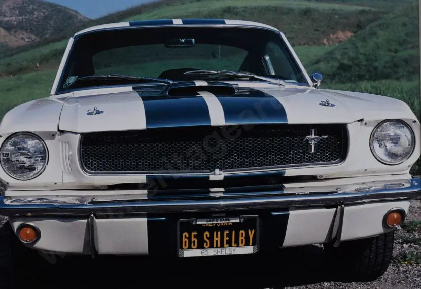 UNKNOWN Photographer - Vintage Car - Shelby Mustang GT-350 Image 1++