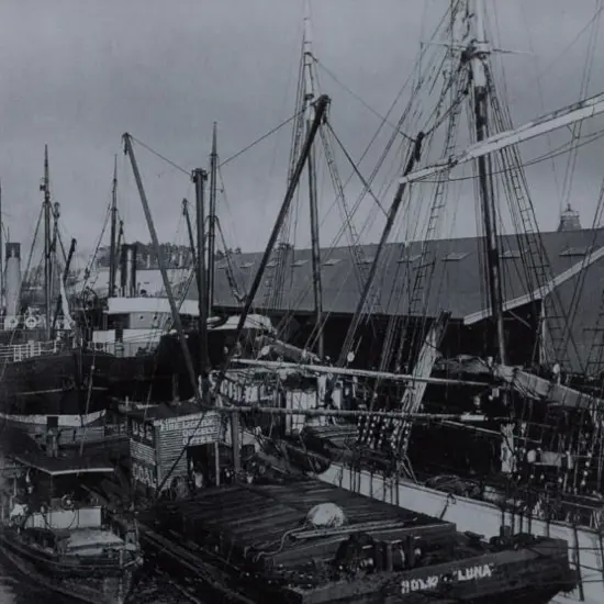 UNKNOWN Photographer - Wanganui - Shipping at the Wharf