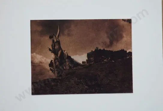 BRIGMAN, Anne (1869-1950) - The Soul of the Blasted Pine - 1907 Image 1++