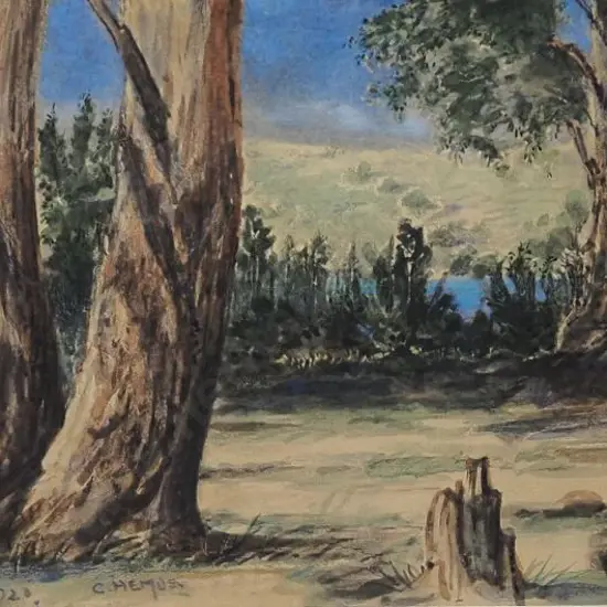 HEMUS, Charles (1849-1925) - Kawau Island 1920