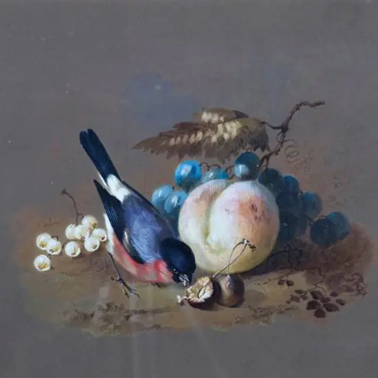 DEXTER, William (1818-1860) - Bull Finch with Fruit