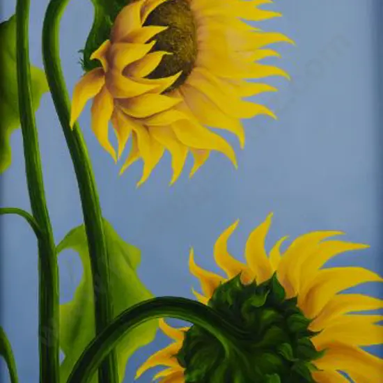 HUSTON, Ruby - Sunflowers