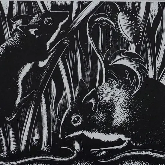 HOPE LEIGHTON, Clare Veronica (1898-1989) - Field Mice, 1931