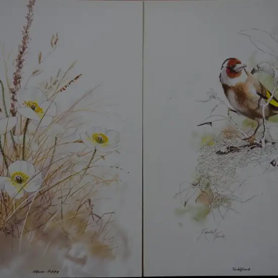 FROUDE, Randall (1930-) - Nature of Europe