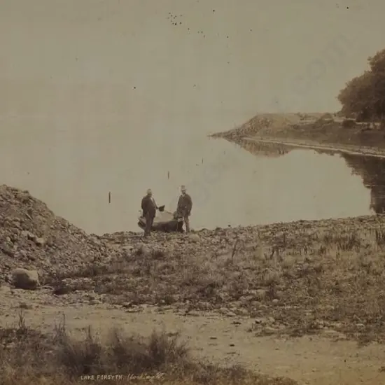 WHEELER, Edmund (1800-1877) - Lake Forsyth, Looking West