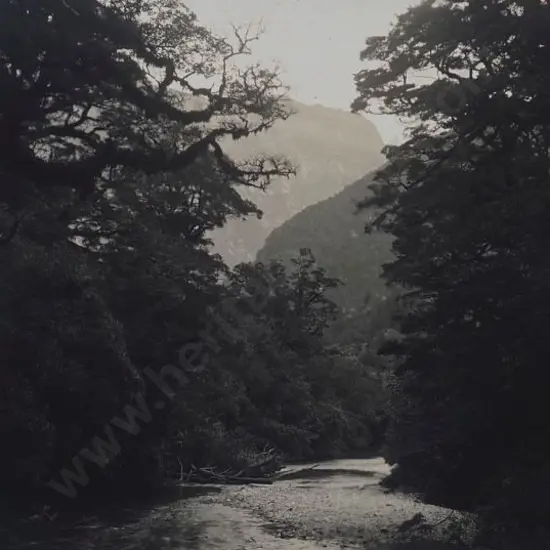 UNKNOWN - Clinton River, Milford Track