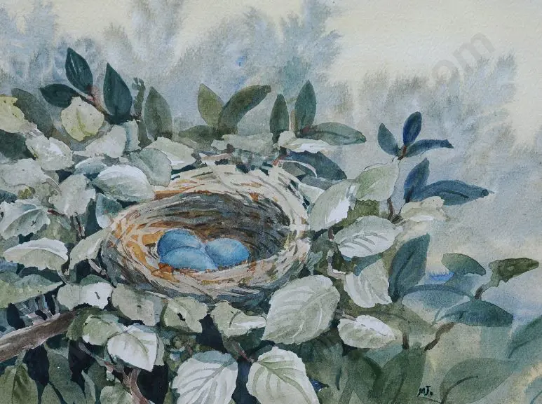 M.J. - Bird's Nest Image 1++