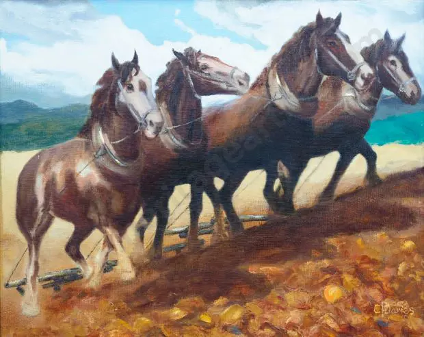 DAVIES, Clem (Active 1970s/80s) - Pulling Harness Image 1++