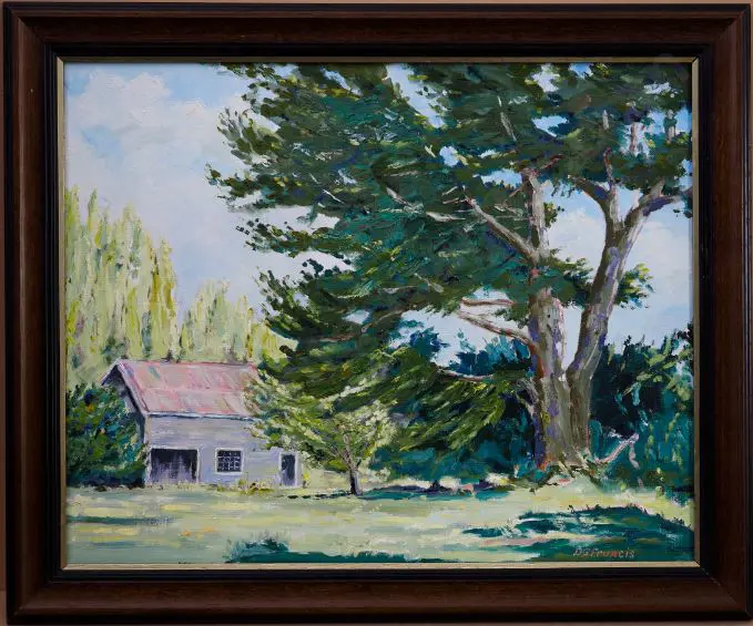 FRANCIS, D.G. - Macrocarpa Image 1++