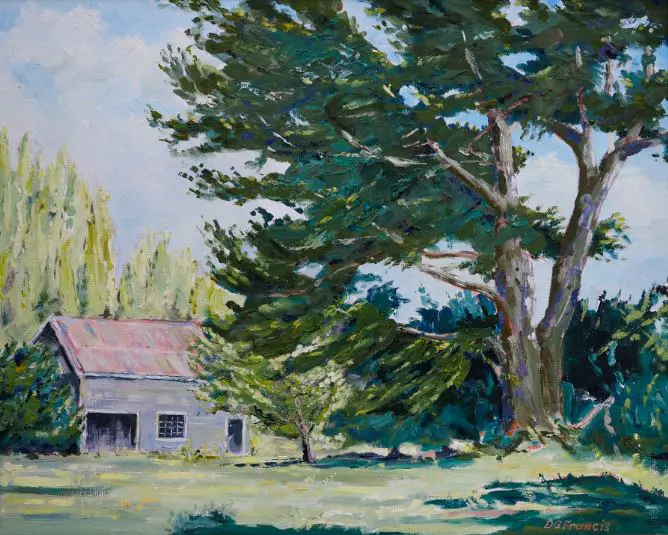 FRANCIS, D.G. - Macrocarpa Image 1++