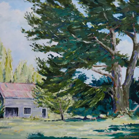 FRANCIS, D.G. - Macrocarpa