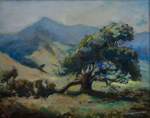 HAMMOND, Jack (1913-2009) - Old Pohutukawa Tree Image 1++
