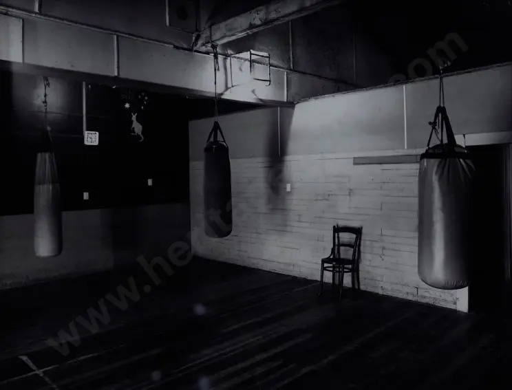 WOOTTON, Richard (1946-) - Boxing Gym Image 1++