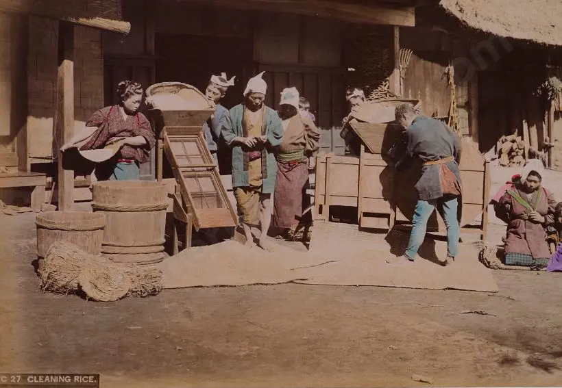 UNKNOWN Photographer - Cleaning Rice Image 1++
