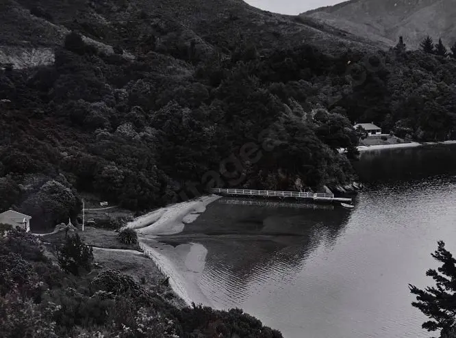 BROWNE, Victor Carlyle (1900-1980) - Bush Country and a jetty in Queen Charlotte Sound c. 1950 Image 1++