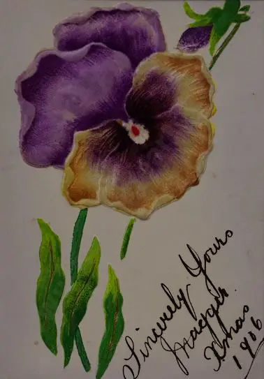 UNKNOWN Artist - Silk Pansy Christmas Postcard, 1906 Image 1++