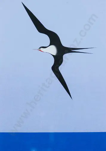 BINNEY, Don (1940-2012) - The Pacific Bird 1, 1968 Image 1++