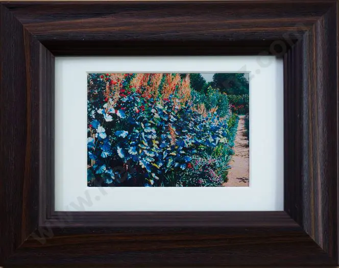 Maughan, Karl (1964-) - Plume Image 1++