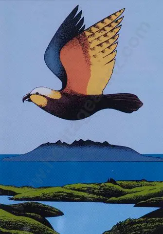 BINNEY, Don (1940-2012) - Kaiaraka Kaku, Great Barrier Image 1++