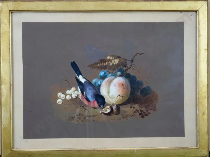 DEXTER, William (1818-1860) - Bull Finch with Fruit Image 1++