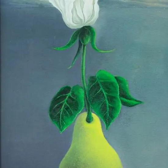 HUSTON, Ruby - Rose and Pear 111