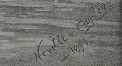 CAYLEY, Neville Pennington - Senior (1853-1903) - Lyre Bird Image 1++