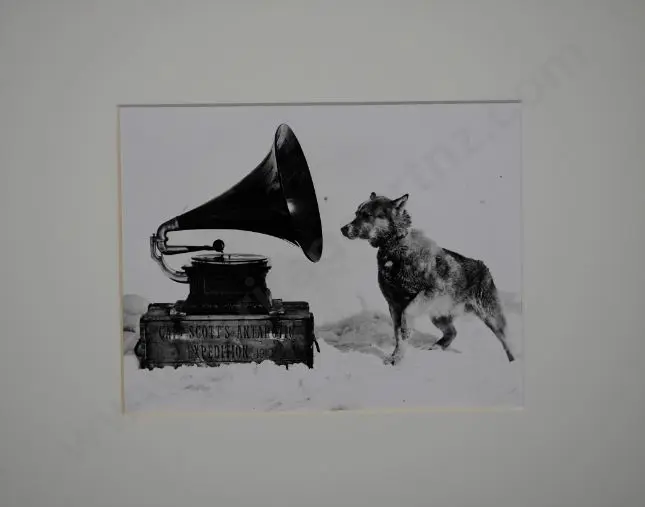 PONTING, Herbert (1870-1935) - Dog Chris, Listening to the Gramophone, Antarctica, 1911 Image 1++